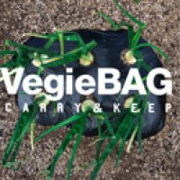 画像1: VegieBAG / ベジバッグ BICOLOR BUCKET