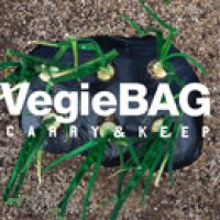 画像1: VegieBAG / ベジバッグ BICOLOR FLAP