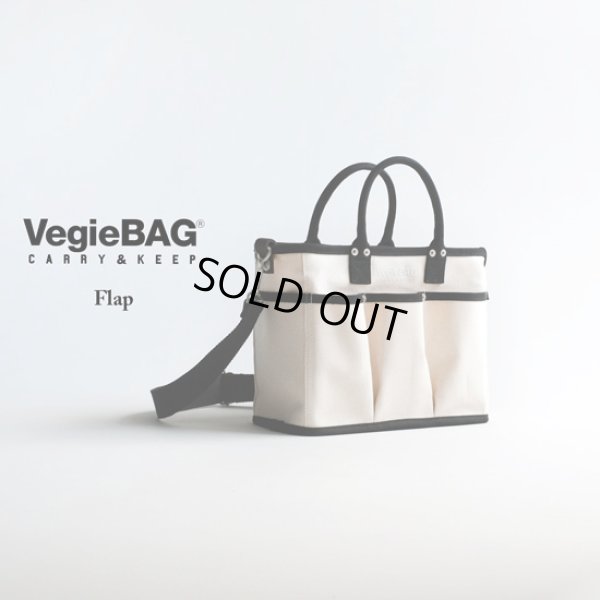 画像1: VegieBAG / ベジバッグ BICOLOR FLAP (1)